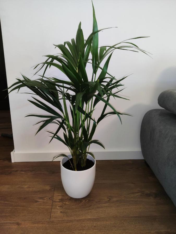 Apartament Milionova Daire Łódź Dış mekan fotoğraf